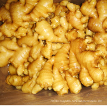 Fresh Ginger (250G AND UP)